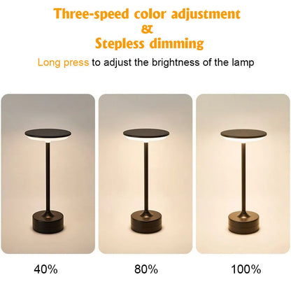 LEDT Lamp